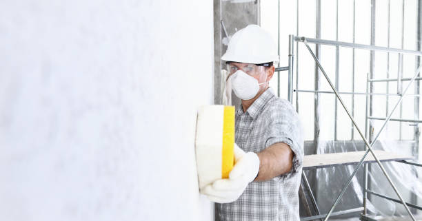 Why You Should Choose Our Mold Remediation Services in Raymore, MO